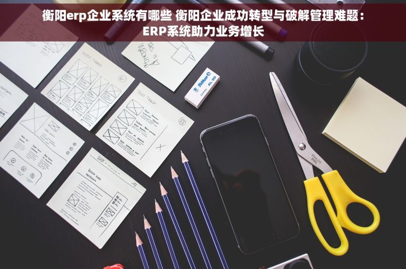 衡阳erp企业系统有哪些 衡阳企业成功转型与破解管理难题：ERP系统助力业务增长