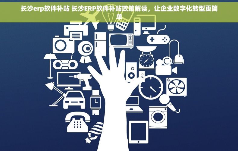 长沙erp软件补贴 长沙ERP软件补贴政策解读，让企业数字化转型更简单
