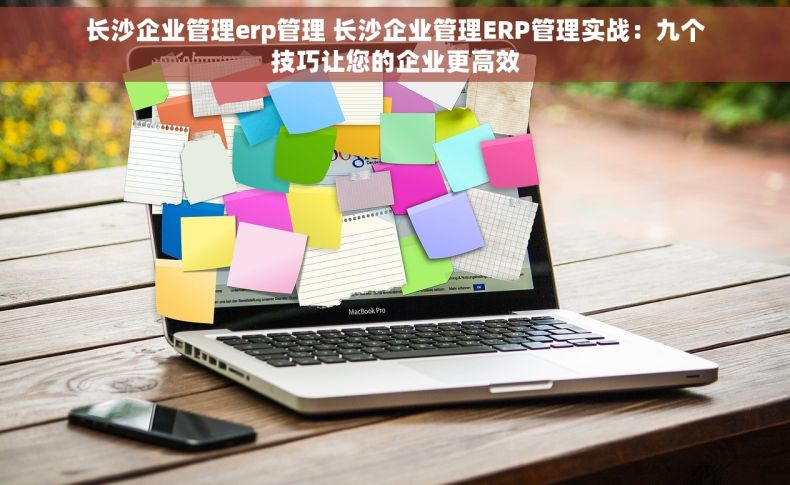 长沙企业管理erp管理 长沙企业管理ERP管理实战：九个技巧让您的企业更高效