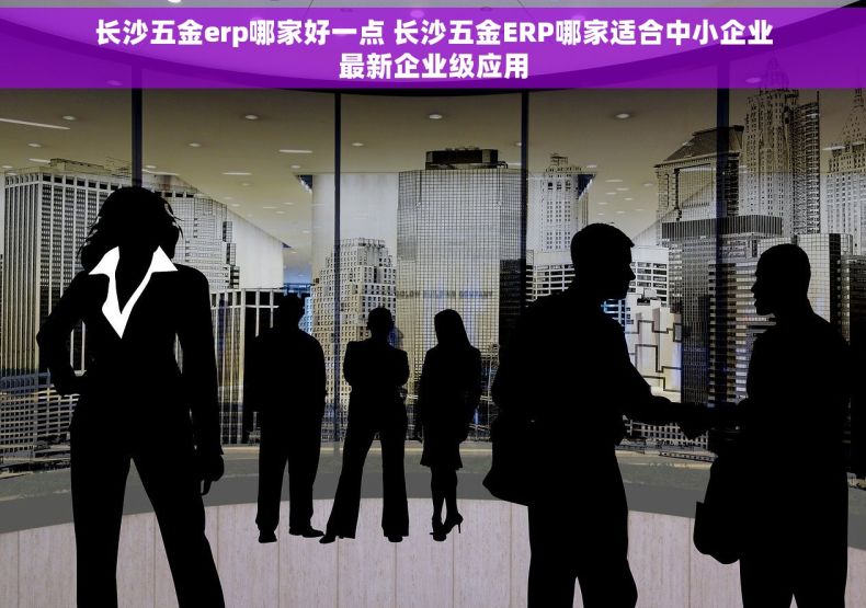 长沙五金erp哪家好一点 长沙五金ERP哪家适合中小企业最新企业级应用