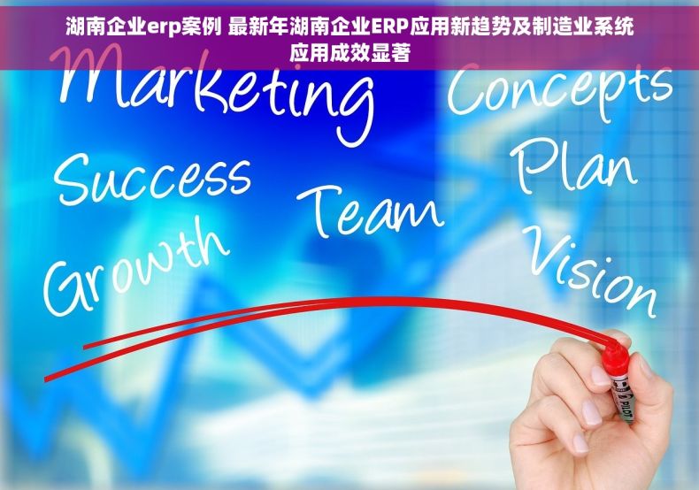 湖南企业erp案例 最新年湖南企业ERP应用新趋势及制造业系统应用成效显著