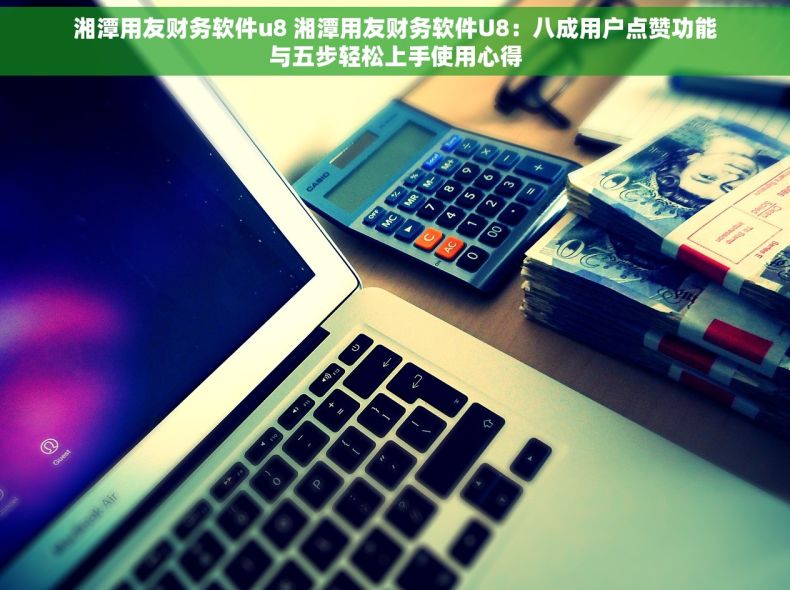 湘潭用友财务软件u8 湘潭用友财务软件U8：八成用户点赞功能与五步轻松上手使用心得