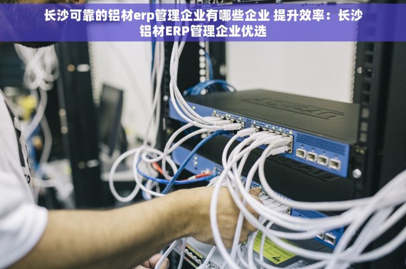 长沙可靠的铝材erp管理企业有哪些企业 提升效率：长沙铝材ERP管理企业优选