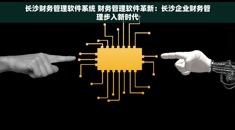 长沙财务管理软件系统 财务管理软件革新：长沙企业财务管理步入新时代