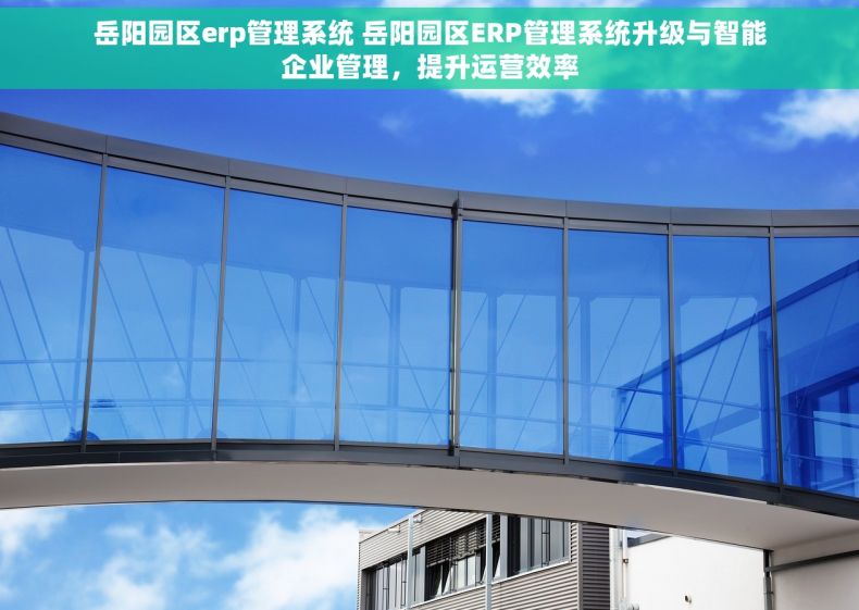 岳阳园区erp管理系统 岳阳园区ERP管理系统升级与智能企业管理，提升运营效率