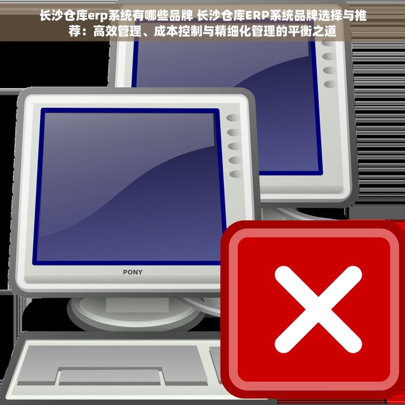 长沙仓库erp系统有哪些品牌 长沙仓库ERP系统品牌选择与推荐：高效管理、成本控制与精细化管理的平衡之道