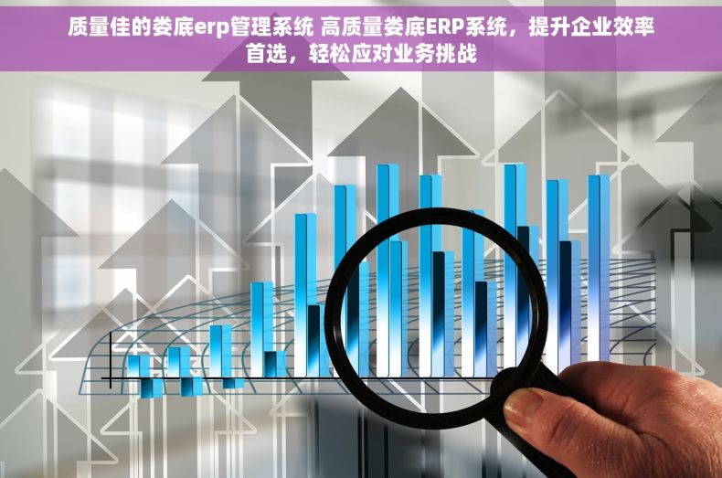 质量佳的娄底erp管理系统 高质量娄底ERP系统，提升企业效率首选，轻松应对业务挑战