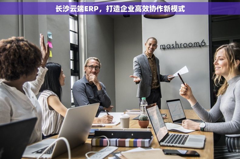 长沙云端ERP，打造企业高效协作新模式