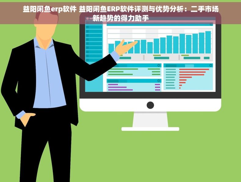 益阳闲鱼erp软件 益阳闲鱼ERP软件评测与优势分析：二手市场新趋势的得力助手