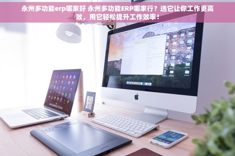 永州多功能erp哪家好 永州多功能ERP哪家行？选它让你工作更高效，用它轻松提升工作效率！