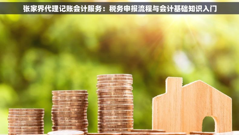 张家界代理记账会计服务：税务申报流程与会计基础知识入门