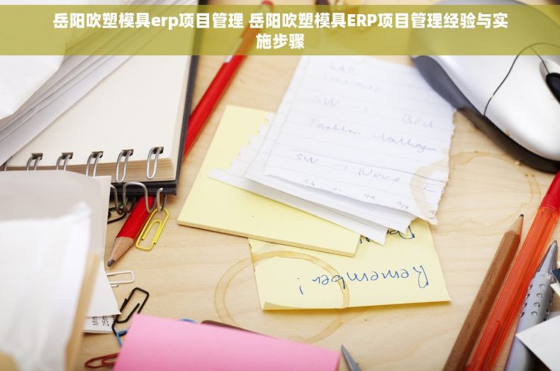 岳阳吹塑模具erp项目管理 岳阳吹塑模具ERP项目管理经验与实施步骤