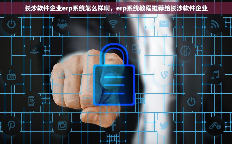 长沙软件企业erp系统怎么样啊，erp系统教程推荐给长沙软件企业