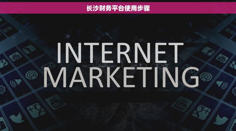 长沙财务平台使用步骤