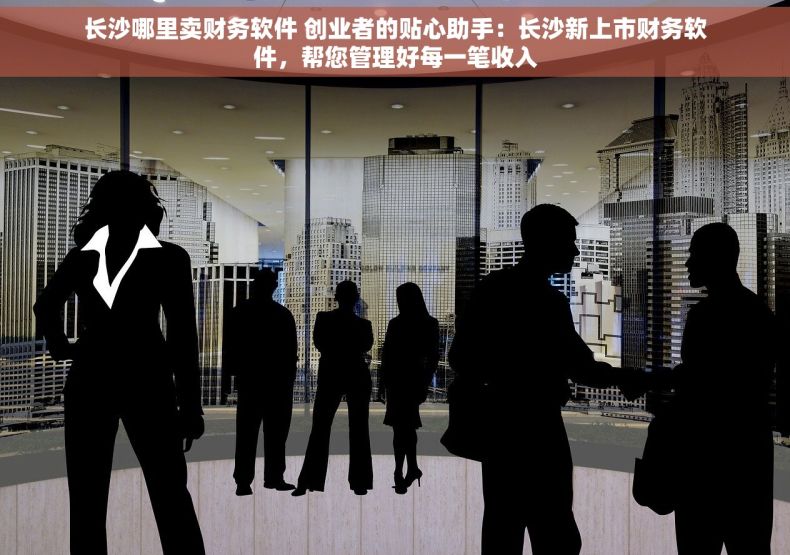 长沙哪里卖财务软件 创业者的贴心助手：长沙新上市财务软件，帮您管理好每一笔收入