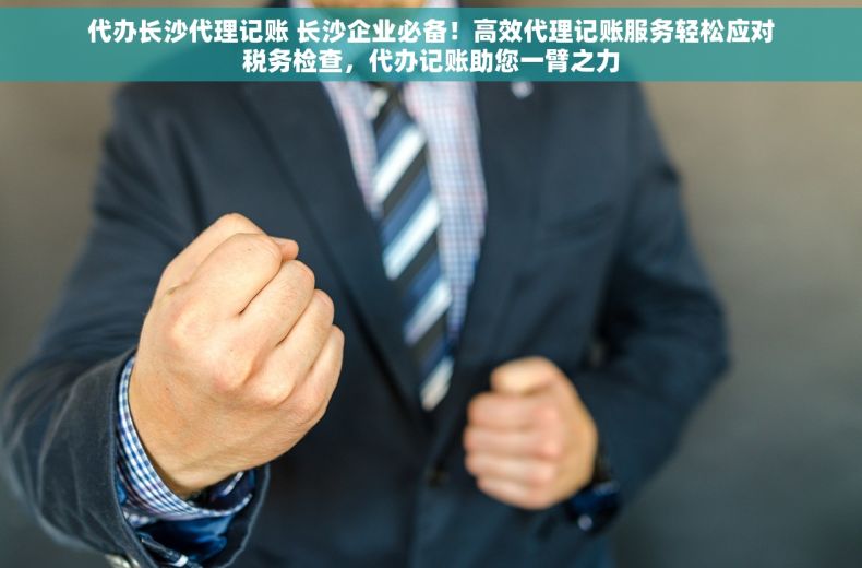 代办长沙代理记账 长沙企业必备！高效代理记账服务轻松应对税务检查，代办记账助您一臂之力