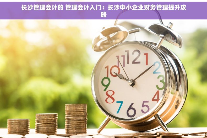 长沙管理会计的 管理会计入门：长沙中小企业财务管理提升攻略