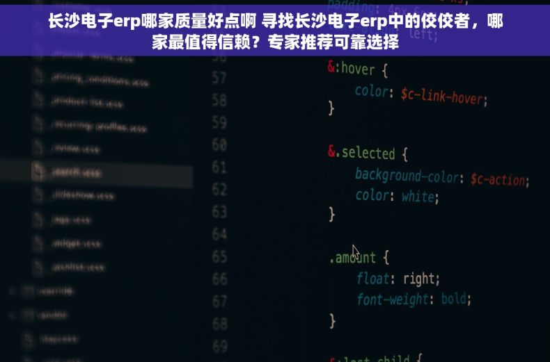 长沙电子erp哪家质量好点啊 寻找长沙电子erp中的佼佼者，哪家最值得信赖？专家推荐可靠选择