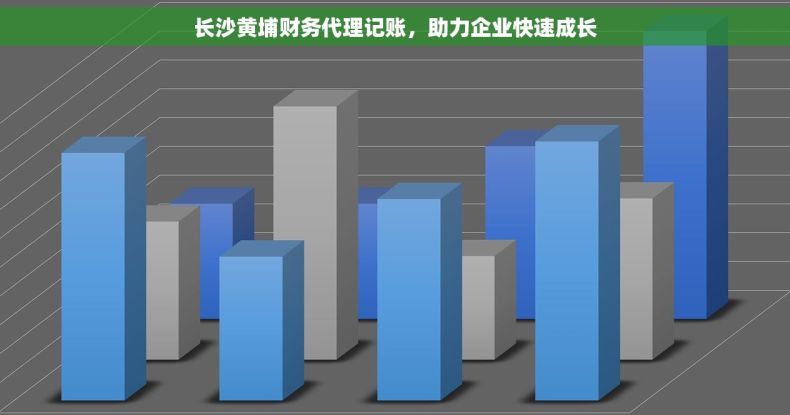 长沙黄埔财务代理记账，助力企业快速成长