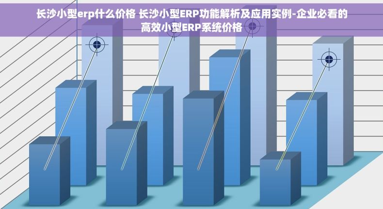 长沙小型erp什么价格 长沙小型ERP功能解析及应用实例-企业必看的高效小型ERP系统价格