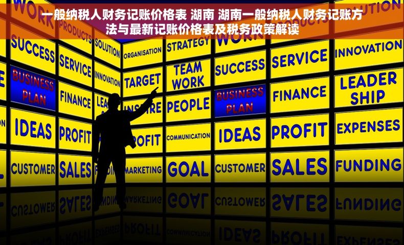 一般纳税人财务记账价格表 湖南 湖南一般纳税人财务记账方法与最新记账价格表及税务政策解读