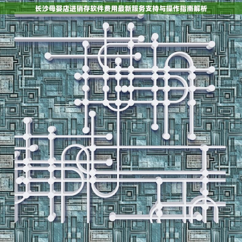 长沙母婴店进销存软件费用最新服务支持与操作指南解析