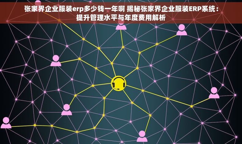 张家界企业服装erp多少钱一年啊 揭秘张家界企业服装ERP系统：提升管理水平与年度费用解析
