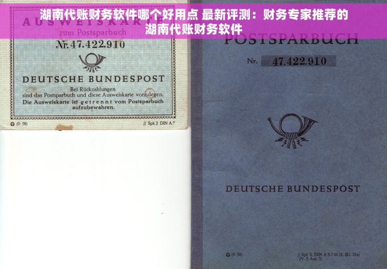 湖南代账财务软件哪个好用点 最新评测：财务专家推荐的湖南代账财务软件