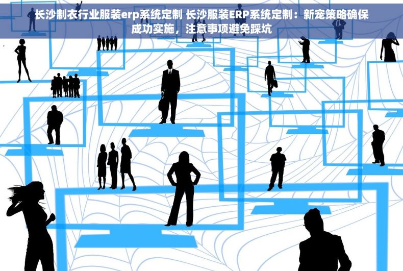 长沙制衣行业服装erp系统定制 长沙服装ERP系统定制：新宠策略确保成功实施，注意事项避免踩坑