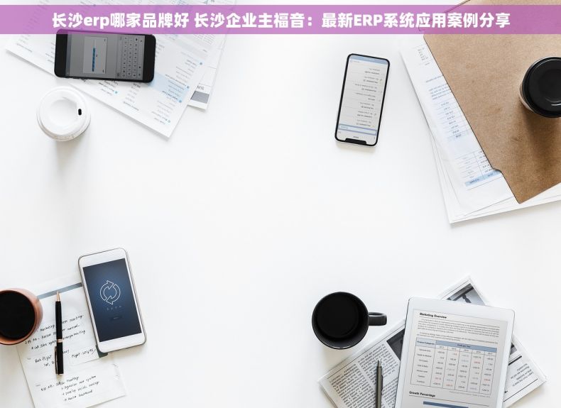 长沙erp哪家品牌好 长沙企业主福音：最新ERP系统应用案例分享