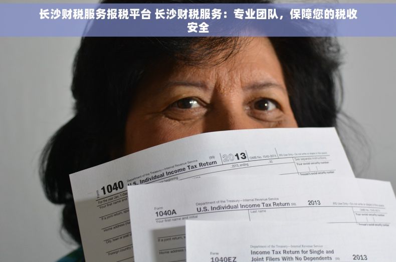 长沙财税服务报税平台 长沙财税服务：专业团队，保障您的税收安全