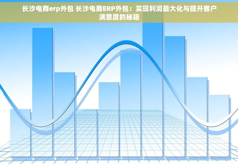 长沙电商erp外包 长沙电商ERP外包：实现利润最大化与提升客户满意度的秘籍