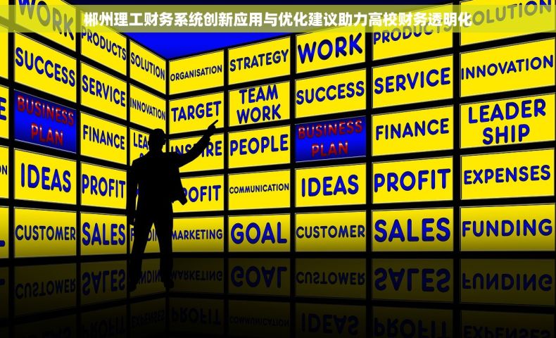 郴州理工财务系统创新应用与优化建议助力高校财务透明化
