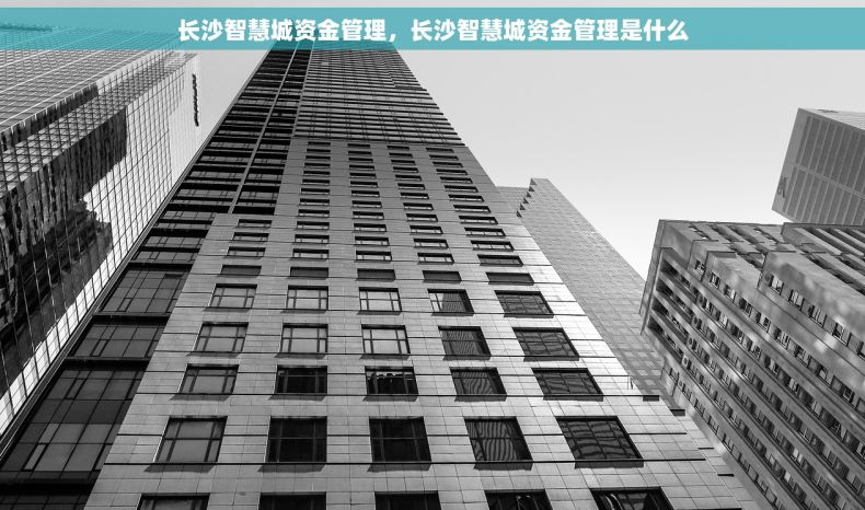 长沙智慧城资金管理，长沙智慧城资金管理是什么