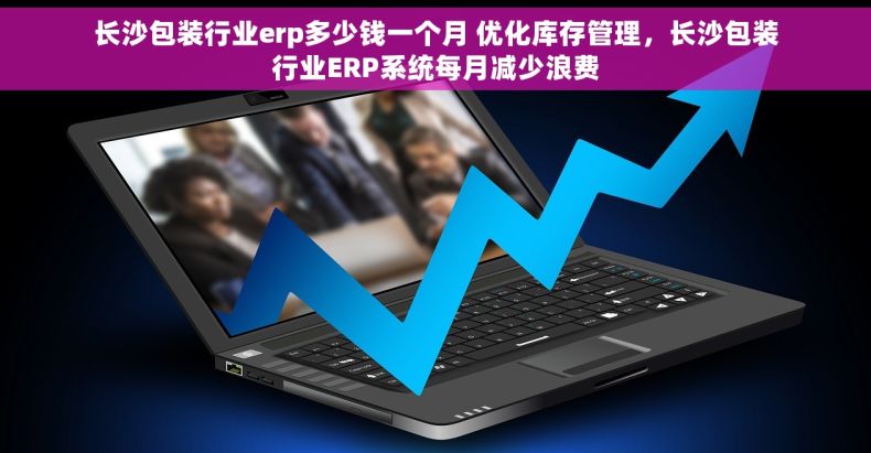 长沙包装行业erp多少钱一个月 优化库存管理，长沙包装行业ERP系统每月减少浪费