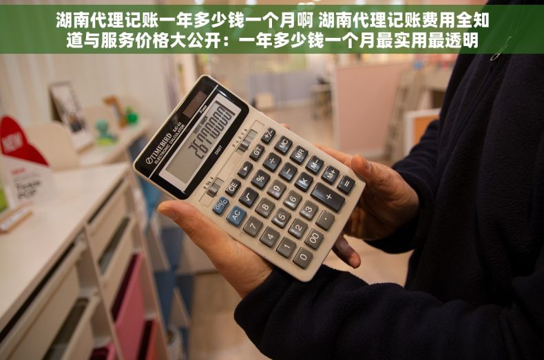 湖南代理记账一年多少钱一个月啊 湖南代理记账费用全知道与服务价格大公开：一年多少钱一个月最实用最透明