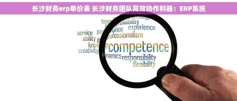 长沙财务erp单价表 长沙财务团队高效协作利器：ERP系统
