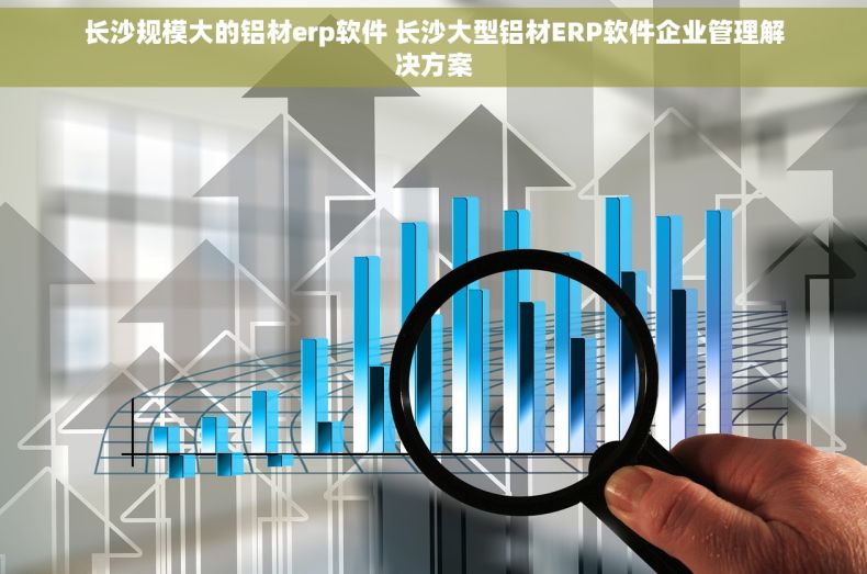 长沙规模大的铝材erp软件 长沙大型铝材ERP软件企业管理解决方案