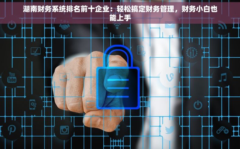 湖南财务系统排名前十企业：轻松搞定财务管理，财务小白也能上手