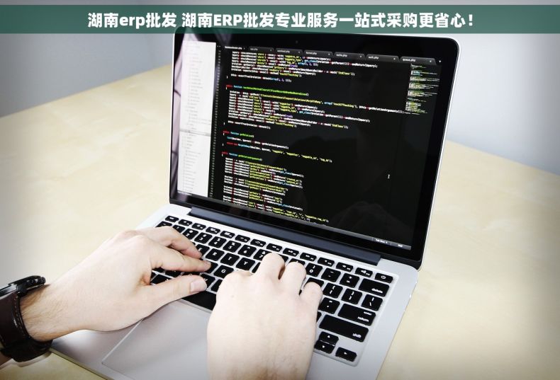湖南erp批发 湖南ERP批发专业服务一站式采购更省心！