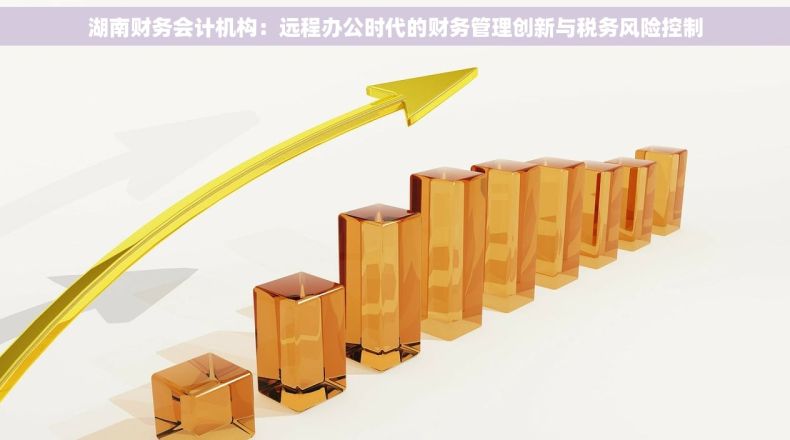 湖南财务会计机构：远程办公时代的财务管理创新与税务风险控制