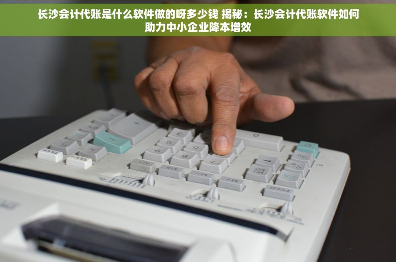 长沙会计代账是什么软件做的呀多少钱 揭秘：长沙会计代账软件如何助力中小企业降本增效