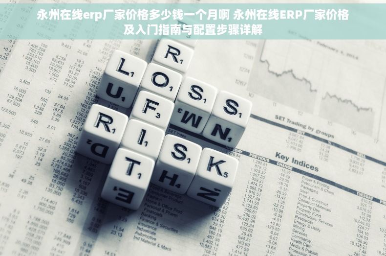 永州在线erp厂家价格多少钱一个月啊 永州在线ERP厂家价格及入门指南与配置步骤详解