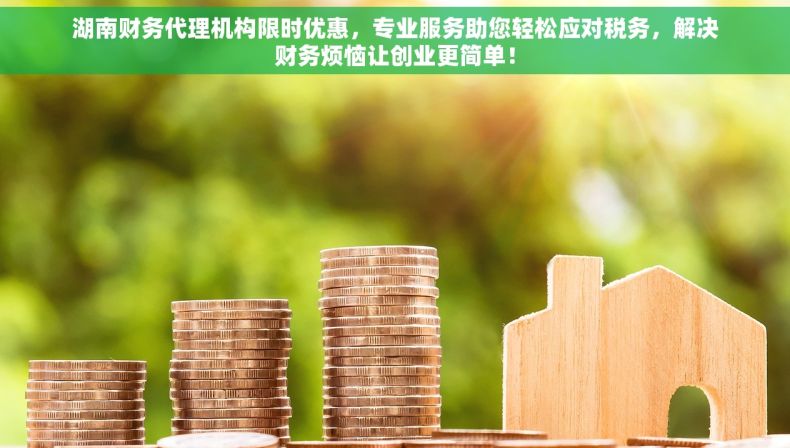 湖南财务代理机构限时优惠，专业服务助您轻松应对税务，解决财务烦恼让创业更简单！