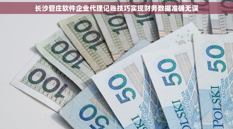 长沙管庄软件企业代理记账技巧实现财务数据准确无误