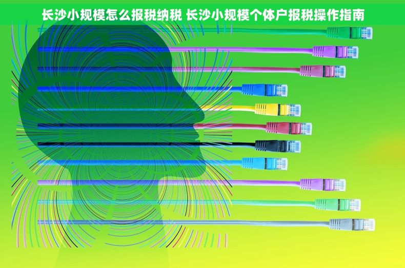 长沙小规模怎么报税纳税 长沙小规模个体户报税操作指南