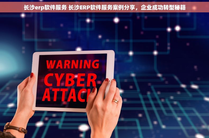 长沙erp软件服务 长沙ERP软件服务案例分享，企业成功转型秘籍