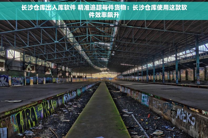 长沙仓库出入库软件 精准追踪每件货物：长沙仓库使用这款软件效率飙升