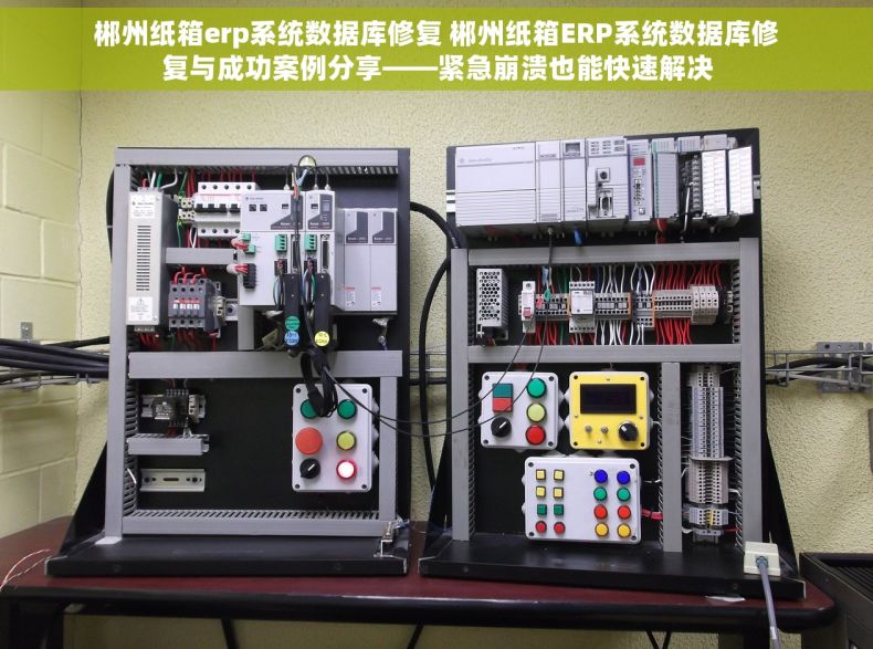 郴州纸箱erp系统数据库修复 郴州纸箱ERP系统数据库修复与成功案例分享——紧急崩溃也能快速解决