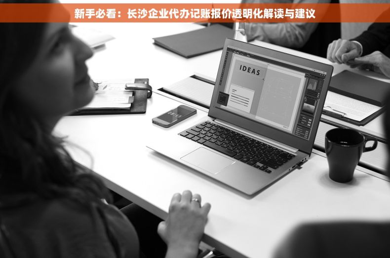 新手必看：长沙企业代办记账报价透明化解读与建议